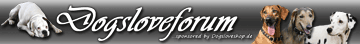 dogsforum